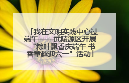我在文明实践中心过端午——武陵源区开展“粽叶飘香庆端午 书香童趣迎六一”活动