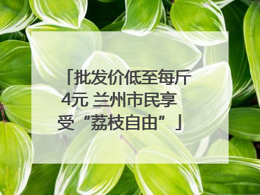 批发价低至每斤4元 兰州市民享受“荔枝自由”