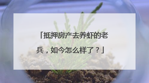 抵押房产去养虾的老兵，如今怎么样了？