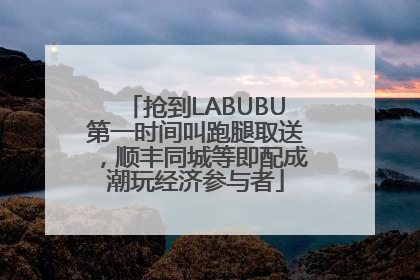 抢到LABUBU第一时间叫跑腿取送，顺丰同城等即配成潮玩经济参与者
