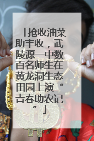 抢收油菜助丰收，武陵源一中数百名师生在黄龙洞生态田园上演“青春助农记”