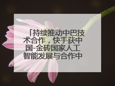 持续推动中巴技术合作，快手获中国-金砖国家人工智能发展与合作中心驻巴西成果转化中心授牌