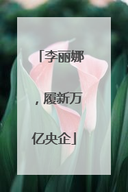 李丽娜，履新万亿央企