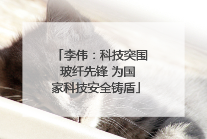 李伟：科技突围 玻纤先锋 为国家科技安全铸盾