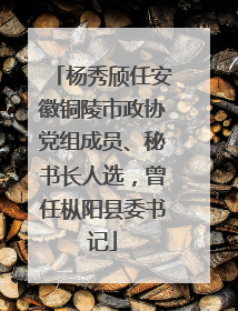 杨秀颀任安徽铜陵市政协党组成员、秘书长人选，曾任枞阳县委书记