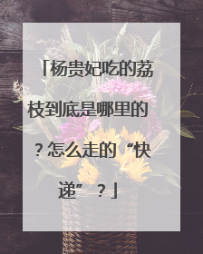 杨贵妃吃的荔枝到底是哪里的？怎么走的“快递”？