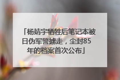 杨靖宇牺牲后笔记本被日伪军警掳走，尘封85年的档案首次公布
