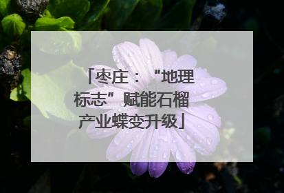 枣庄：“地理标志”赋能石榴产业蝶变升级