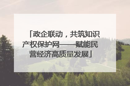 政企联动，共筑知识产权保护网——赋能民营经济高质量发展