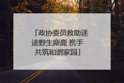 政协委员救助迷途野生麋鹿 携手共筑和谐家园
