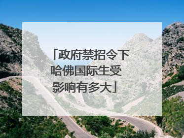 政府禁招令下 哈佛国际生受影响有多大