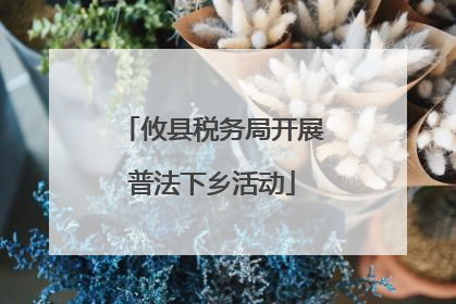 攸县税务局开展普法下乡活动