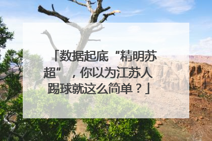 数据起底“精明苏超”，你以为江苏人踢球就这么简单？