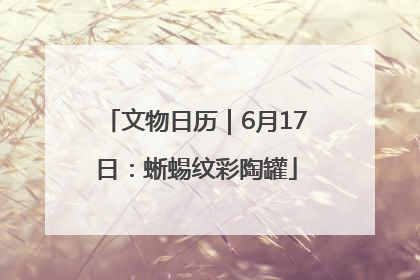 文物日历｜6月17日：蜥蜴纹彩陶罐