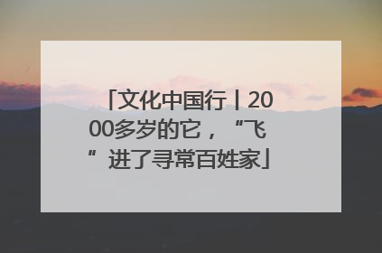 文化中国行丨2000多岁的它，“飞”进了寻常百姓家