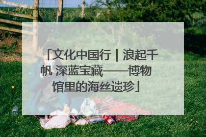 文化中国行｜浪起千帆 深蓝宝藏——博物馆里的海丝遗珍