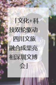 文化+科技双轮驱动 四川文旅融合成果亮相深圳文博会