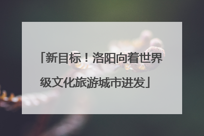 新目标！洛阳向着世界级文化旅游城市进发