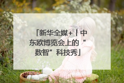 新华全媒+丨中东欧博览会上的“数智”科技秀