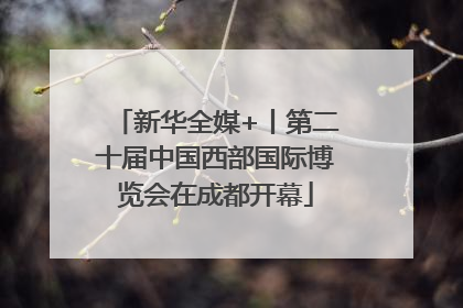 新华全媒+丨第二十届中国西部国际博览会在成都开幕