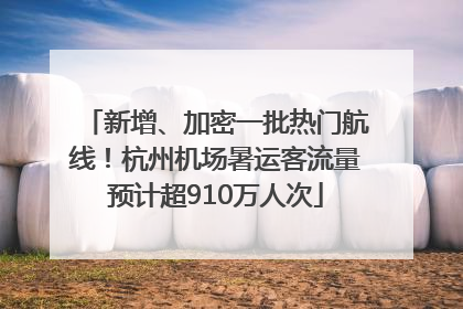 新增、加密一批热门航线！杭州机场暑运客流量预计超910万人次