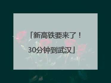 新高铁要来了！30分钟到武汉
