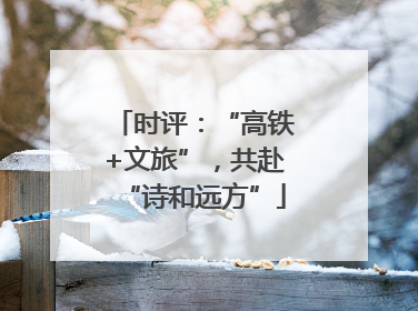 时评：“高铁+文旅”，共赴“诗和远方”
