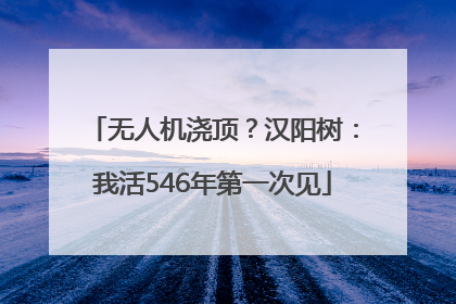 无人机浇顶？汉阳树：我活546年第一次见