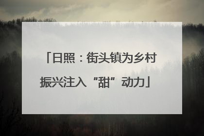 日照：街头镇为乡村振兴注入“甜”动力