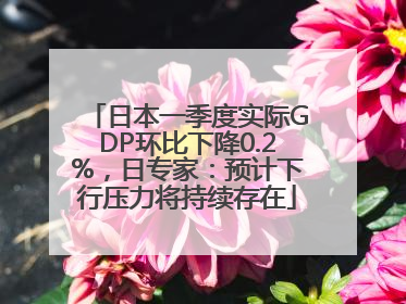 日本一季度实际GDP环比下降0.2%，日专家：预计下行压力将持续存在