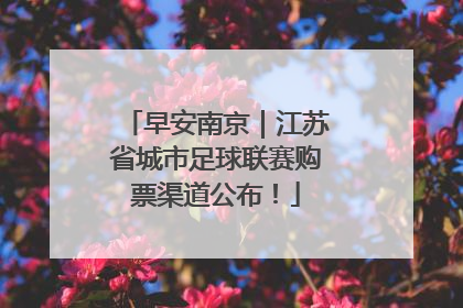 早安南京｜江苏省城市足球联赛购票渠道公布！