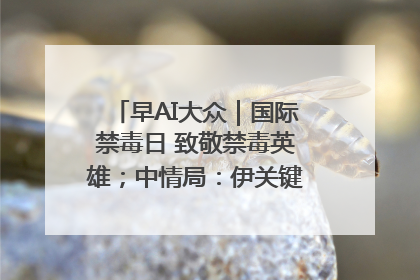 早AI大众｜国际禁毒日 致敬禁毒英雄；中情局：伊关键核设施被摧毁