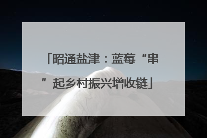 昭通盐津：蓝莓“串”起乡村振兴增收链