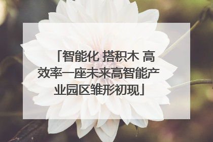 智能化 搭积木 高效率一座未来高智能产业园区雏形初现