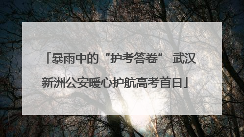 暴雨中的“护考答卷” 武汉新洲公安暖心护航高考首日