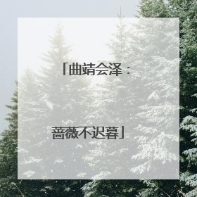 曲靖会泽：蔷薇不迟暮