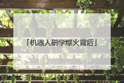 机器人研学爆火背后