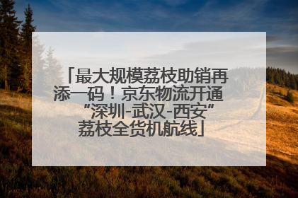 最大规模荔枝助销再添一码！京东物流开通“深圳-武汉-西安” 荔枝全货机航线