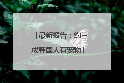 最新报告：约三成韩国人有宠物
