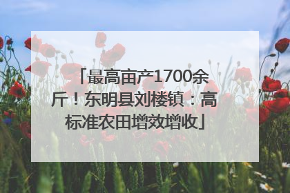 最高亩产1700余斤！东明县刘楼镇：高标准农田增效增收