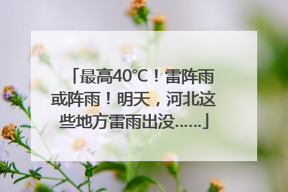 最高40℃！雷阵雨或阵雨！明天，河北这些地方雷雨出没……