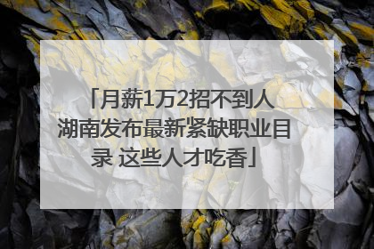 月薪1万2招不到人 湖南发布最新紧缺职业目录 这些人才吃香