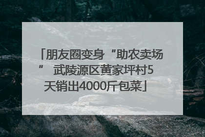 朋友圈变身“助农卖场” 武陵源区黄家坪村5天销出4000斤包菜