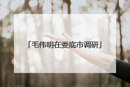 毛伟明在娄底市调研