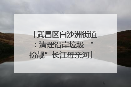 武昌区白沙洲街道：清理沿岸垃圾 “扮靓”长江母亲河