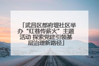 武昌区都府堤社区举办“红巷传薪火”主题活动 探索党建引领基层治理新路径