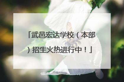 武邑宏达学校（本部）招生火热进行中！
