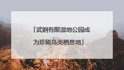 武钢有限湿地公园成为珍稀鸟类栖息地