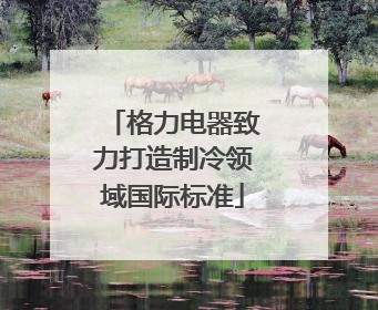 格力电器致力打造制冷领域国际标准