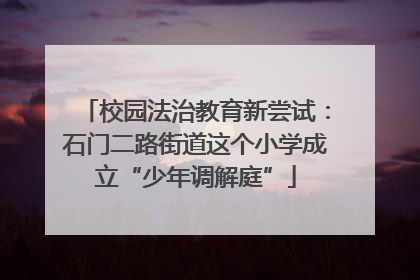 校园法治教育新尝试：石门二路街道这个小学成立“少年调解庭”